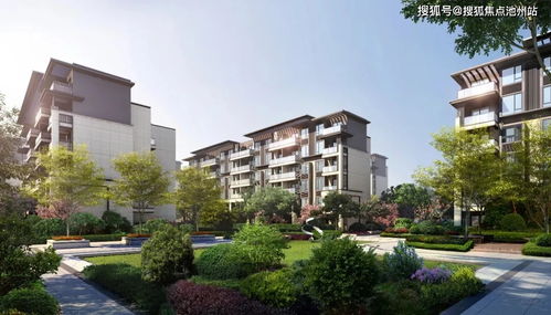 东来企业家三小时深度交流，50万价值揭秘！