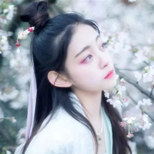 古风美人环绕，爱恨情仇再续，体验《完蛋！美女包围》新篇章