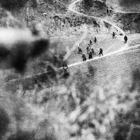 《战地6》隐身秘籍：揭秘十大不被发现技巧