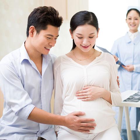 《足球经理26》11月4日同步发售，独家揭秘全新游戏体验！