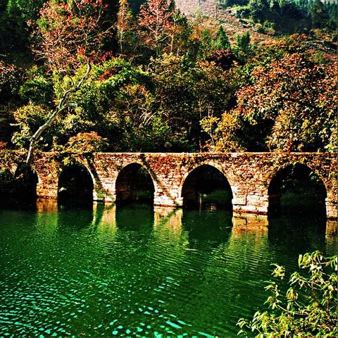 1400年前古洞藏熊猫化石，亚洲最长洞穴揭秘历史秘密