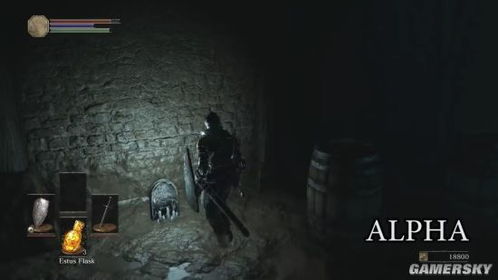 棺材惊现诈尸！揭秘神秘葬礼参与者之谜