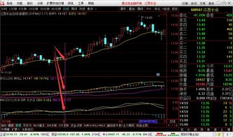 光荣预告：炒股式盈利，上半年利润预期翻番新突破