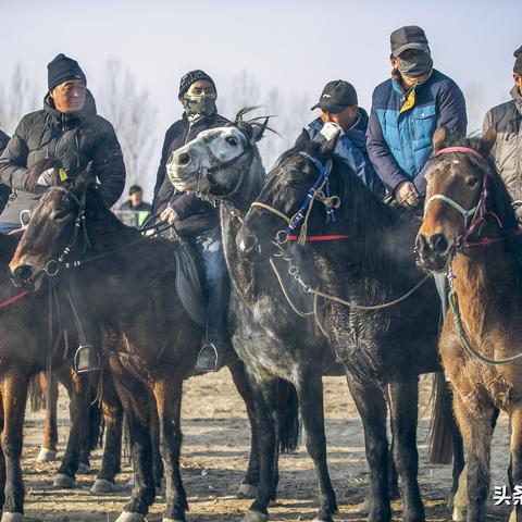 大和赤骥COS还原度爆表，赛马娘服装身材细节解析