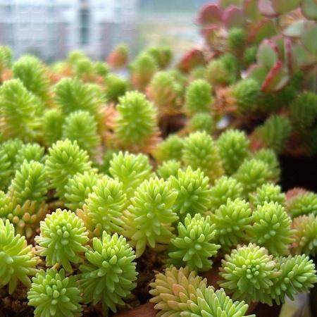 PS5省电新招：功耗减半，性能优化，游戏体验升级！