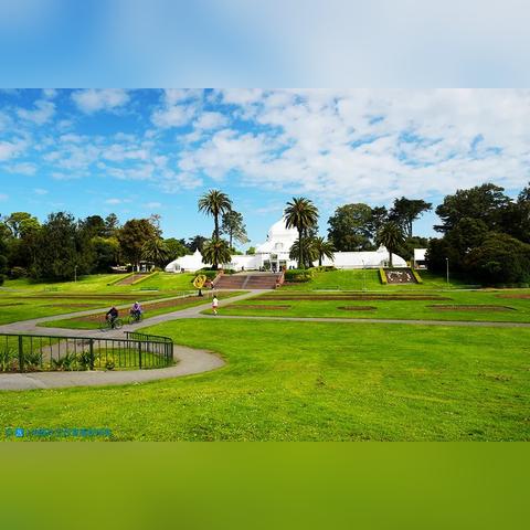 《高冷女友》原创互动小说，沉浸式体验新升级