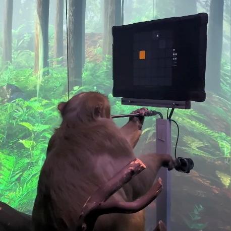 脑机接口革命：Neuralink英国首秀，术后速用脑打游戏震撼登场