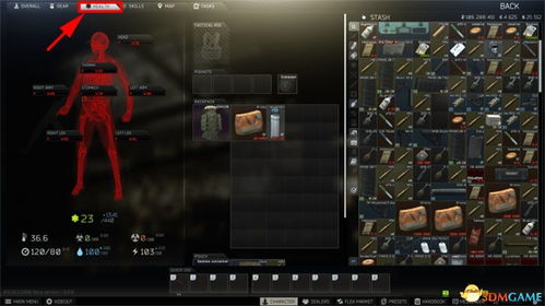 《逃离鸭科夫》MCXSpear攻略：高效配装技巧大揭秘