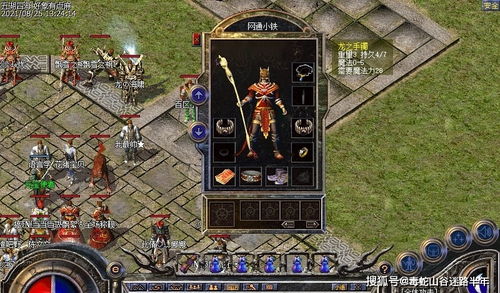 新时代帆扬，人中之龙外传揭秘海岛海盗传奇