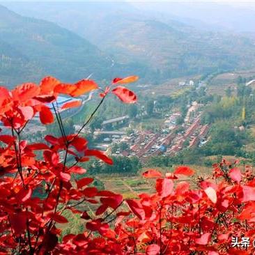 《过山车之星2》评测：春节盛宴，景观大师加班杰作