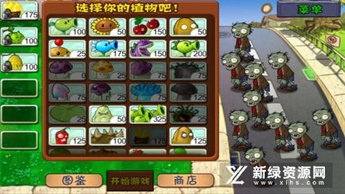 《植物大战僵尸》V1.2首日补丁揭秘：全新重植版亮点抢先看