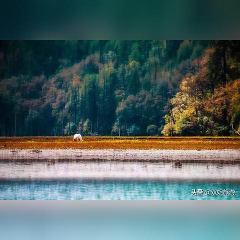 侏罗纪世界进化3攻略：打造独特景点秘籍大公开