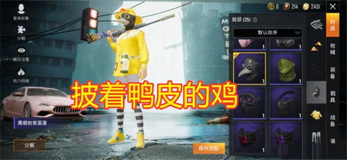 《鸭科夫战鸡捏脸码攻略，解锁全新角色魅力》