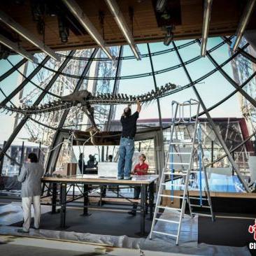 《侏罗纪世界进化3》超值攻略：轻松购入新技巧揭秘