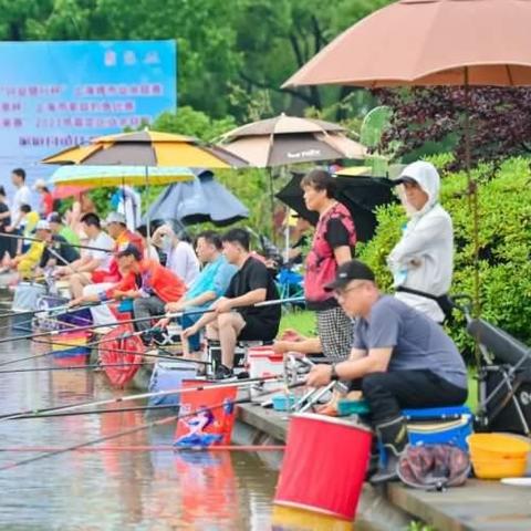 钓鱼游戏狂潮席卷全国，36亿播放破2亿收入，揭秘全新钓鱼秘籍！