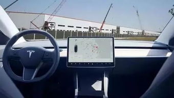 特斯拉新升级门打不开，杨天真吐槽后备箱爬进新体验