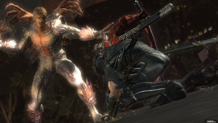 《忍龙4武器秘籍大公开》全武器招式深度解析