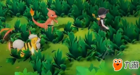 《宝可梦Z-A》伊布捕捉攻略：揭秘高效捕获技巧