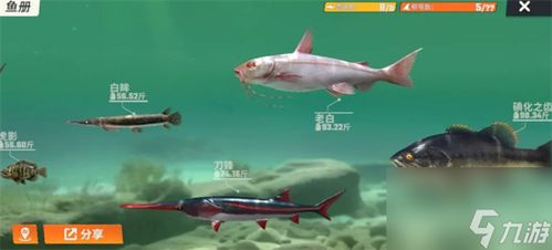 《鸭科夫逃脱秘籍：钓取鱼类攻略图鉴全解析》