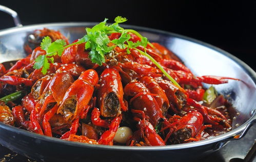 剑星申才恩美照首曝：大虾美食映衬绝世身材