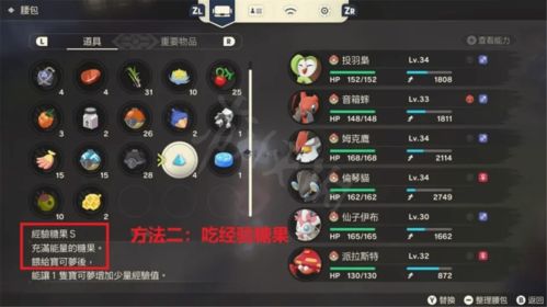 《宝可梦传说ZA》CE物品修改攻略：深度解析物品改写技巧