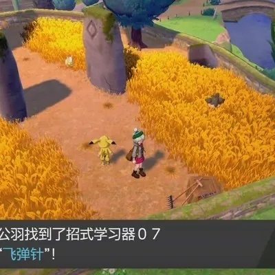 《宝可梦传说ZA》全招式学习器攻略：一网打尽位置解析秘籍