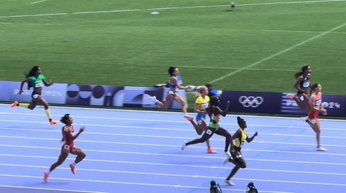 任式箱庭起跑失利，《皮克敏4》评测：创新力不足成遗憾