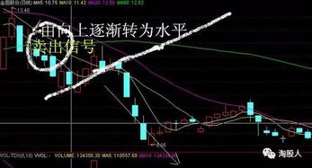 《鸭科夫新手攻略》资源挖掘战法解析，快速上手技巧分享