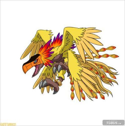 数码宝贝时空战法揭秘：鹦鹉兽高效击破攻略