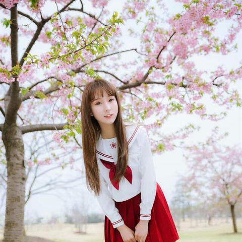 彼岸花抚获取攻略：揭秘高效获取新途径