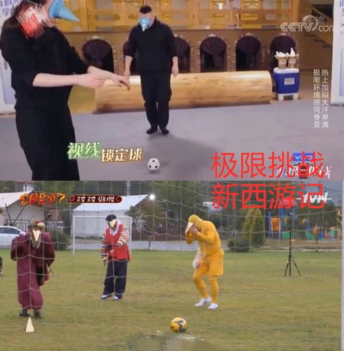 极限挑战新高度，TPS轮滑跨界巅峰体验