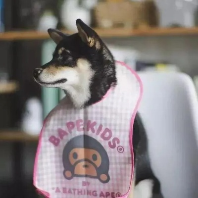 狗带真人秀揭秘：法克鱿狂热，爱思猴狂热新体验