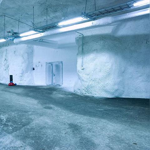 《末日方舟》NS版评测：经典生存模拟器新升级，体验全新求生之道