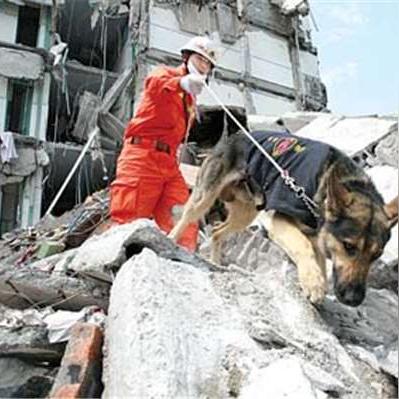 《战地6》地雷布局绝技，高效攻略新升级