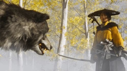 羊蹄山之魂宁静草原头带攻略：轻松获取独门秘籍