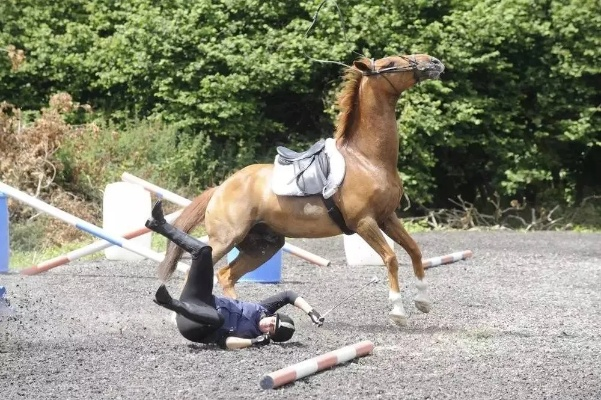 原班人马再聚首，无敌后桥摔新升级