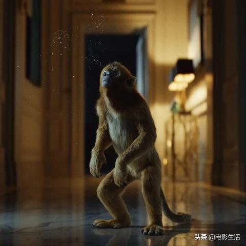 《莱拉之谜》评测：无处不在的传奇力量