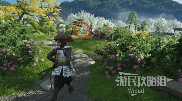 《羊蹄山之魂》塔马塞攻略：高效获取新技巧揭秘