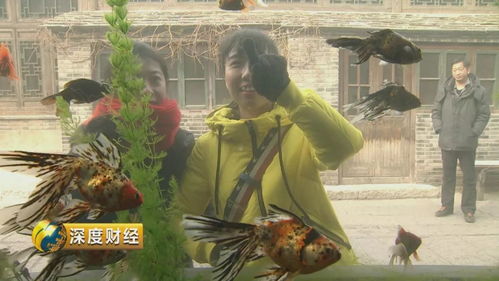 寓意深刻却略显稚嫩，《昨日难留》游戏体验新视角