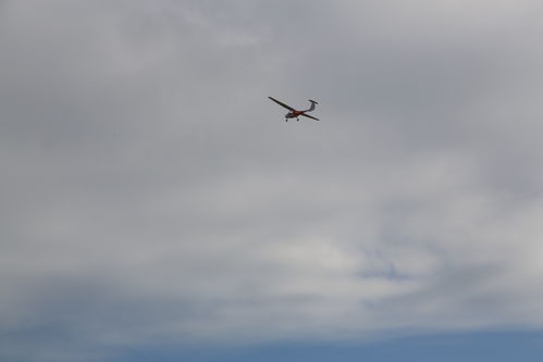 天空拥抱自然，展翅翱翔评测：探寻生态新境界