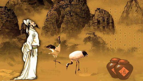 形骸放浪终苦尽，骑士甘来新篇章