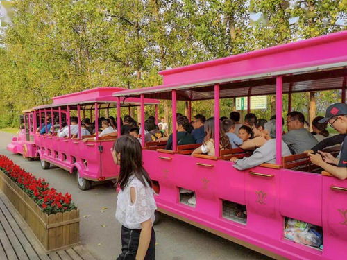 《Megabonk》攻略秘籍：深度解析构筑合集新策略