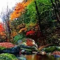 极致速度盛宴，揭秘《极品飞车OL》超级跑车集结战