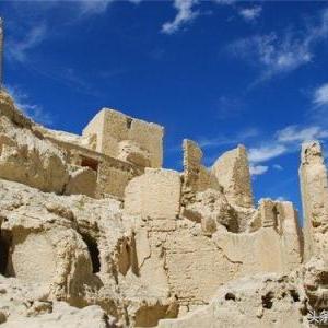 《楼兰：诅咒之沙》前大厂精英深度解析，揭秘游戏开发幕后新视角