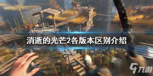 《消逝光芒》堆叠MOD攻略：揭秘高效装备升级新秘籍