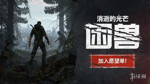 《消逝光芒》实战攻略：掌握困兽挑战新技巧