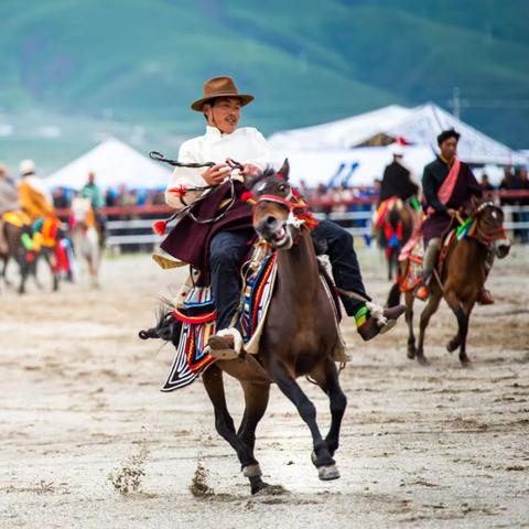 育巢盛宴攻略：揭秘《空洞骑士丝之歌》全新挑战技巧