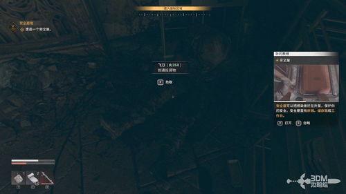 《消逝光芒困兽》版本性价比解析：揭秘最划算选择