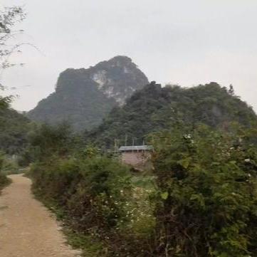 架构精妙耐玩度高，《原始恐惧》打造沉浸式恐怖体验