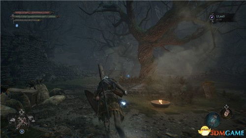 《元素之力：堕落女巫》评测——老三家外新锐精品，探索奇幻之旅